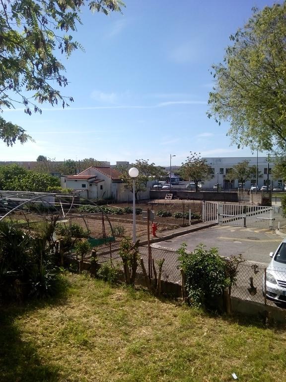 Grand Studio Proche Transport Montpellier Eksteriør bilde