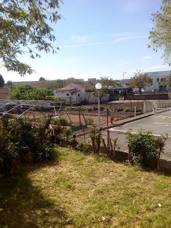 Grand Studio Proche Transport Montpellier Eksteriør bilde
